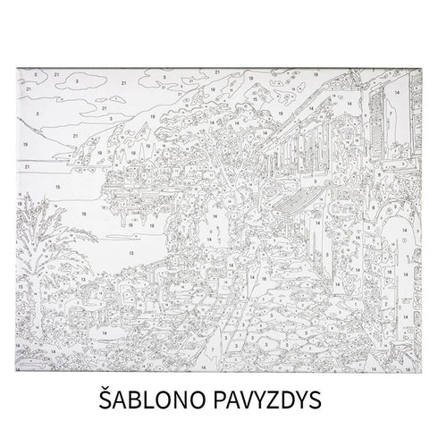 Akrilinis tapymo rinkinys su drobe pradedantiesiems – Piešk pagal skaičius!