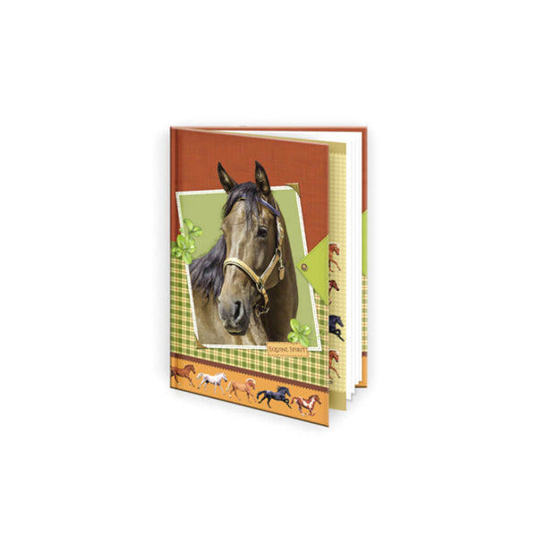 Užrašų knygelė ARGUS, 48 lapų, 9x13, linijomis