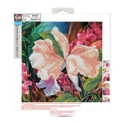 Deimantinė mozaika, 30x30 cm