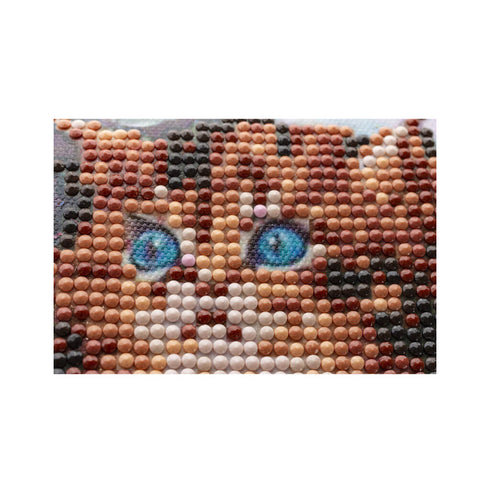 Deimantinė mozaika, 30x40 cm