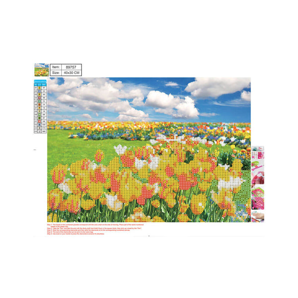 Deimantinė mozaika, 30x40 cm